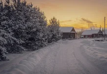 Каждый пятый россиянин намерен посетить локации из кинематографа