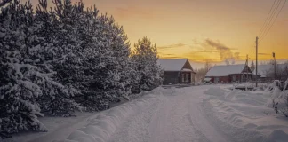 Каждый пятый россиянин намерен посетить локации из кинематографа