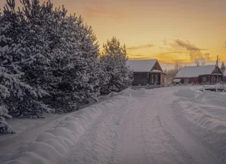 Каждый пятый россиянин намерен посетить локации из кинематографа