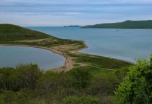 Киностудия на Русском откладывается — мэрия Владивостока отменила ППТ в районе Поспелово