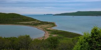 Киностудия на Русском откладывается — мэрия Владивостока отменила ППТ в районе Поспелово