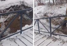 Мэр Новосибирска показал строительство ливневки в пойме реки Каменки