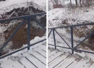 Мэр Новосибирска показал строительство ливневки в пойме реки Каменки