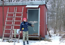 Прокуратура проверит законность застройки в «Стригинском бору»
