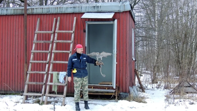 Прокуратура проверит законность застройки в «Стригинском бору»