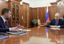 Путин обсудил с Пушилиным строительство дороги вокруг Азовского моря