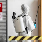 Как избавиться от мух в помещении