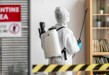 Как избавиться от мух в помещении