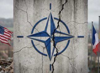 Союзник становится всё менее предсказуемым: как углубляется раскол между Вашингтоном и Брюсселем в НАТО