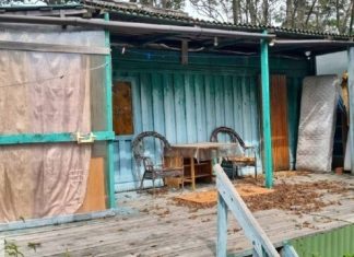 В бухте Спокойная в Приморье обнаружены 67 незаконных построек — власти ищут их владельцев