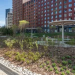 В жилом районе на Покровское-Стрешнево началось весеннее благоустройство