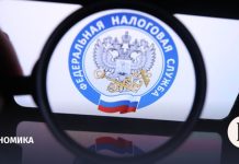 Силуанов назвал плановыми поступающие в бюджет доходы от ФНС