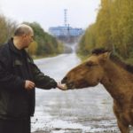 «Человек — это самая большая опасность»: как за 40 лет изменились флора и фауна чернобыльской зоны отчуждения