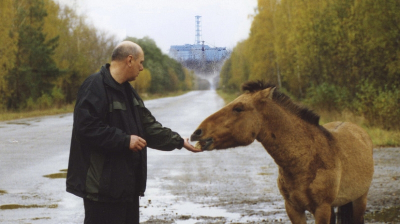 «Человек — это самая большая опасность»: как за 40 лет изменились флора и фауна чернобыльской зоны отчуждения