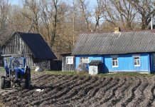 Лукашенко: подходы к строительству жилья изменятся — надо сохранить деревню