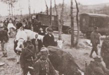 Операция «Висла» в 1947 году: причины, хронология, факты