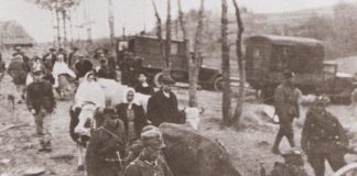 Операция «Висла» в 1947 году: причины, хронология, факты