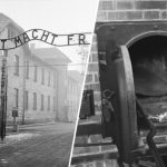 «Организованное умерщвление людей»: как нацистские инженеры превратили газовые камеры и крематории в индустрию смерти