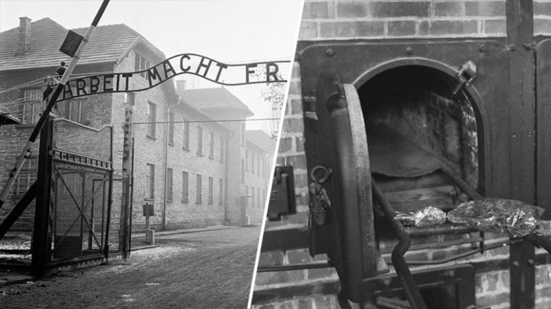 «Организованное умерщвление людей»: как нацистские инженеры превратили газовые камеры и крематории в индустрию смерти