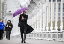 «Похолодает ещё больше»: синоптики предупредили о заморозках и затяжных дождях в Московском регионе