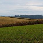 Потратить 1,7 млрд тенге на пустой микрорайон хотели в Шымкенте