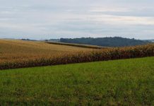 Потратить 1,7 млрд тенге на пустой микрорайон хотели в Шымкенте