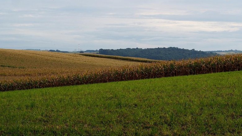 Потратить 1,7 млрд тенге на пустой микрорайон хотели в Шымкенте