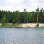 В Челябинске одобрили строительство парка аттракционов на берегу Шершней