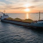 «Враг не разбирает, кто перед ним»: RT поговорил с женой капитана атакованного ВСУ сухогруза «Волго-Балт 138»