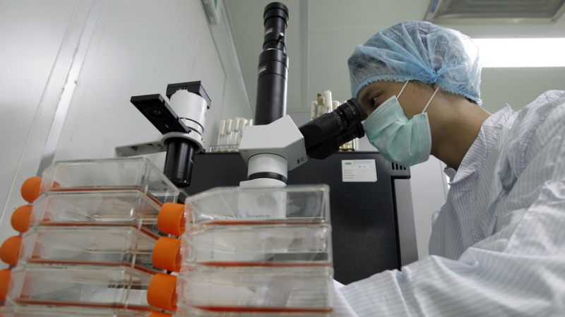 В ЕС приступили к оценке китайской вакцины от коронавируса Vero Cell