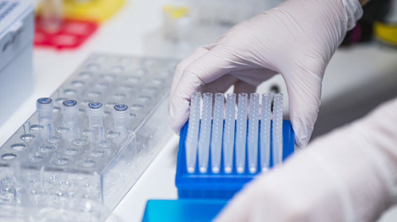 В Молдавии за сутки выявили 326 случаев коронавируса